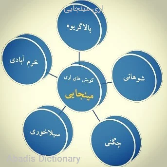 لری مینجایی